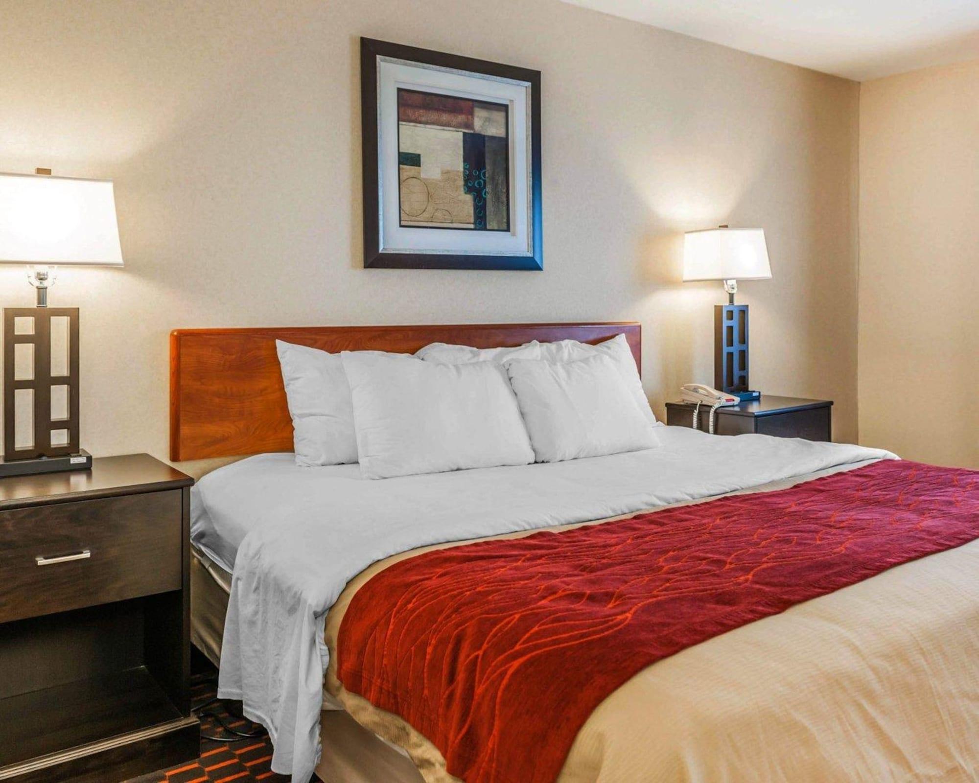 Comfort Inn Avon-Indianapolis West Bagian luar foto